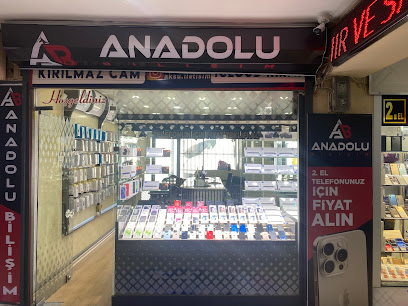 Anadolu Bilişim