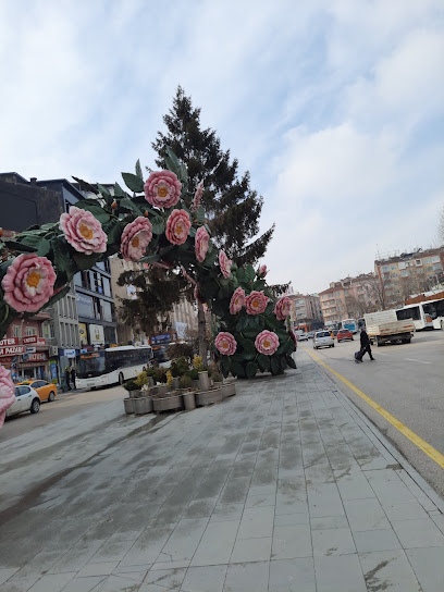 Isparta Belediye İşhanı
